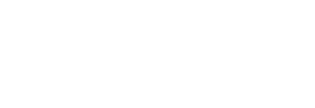 Mobigo